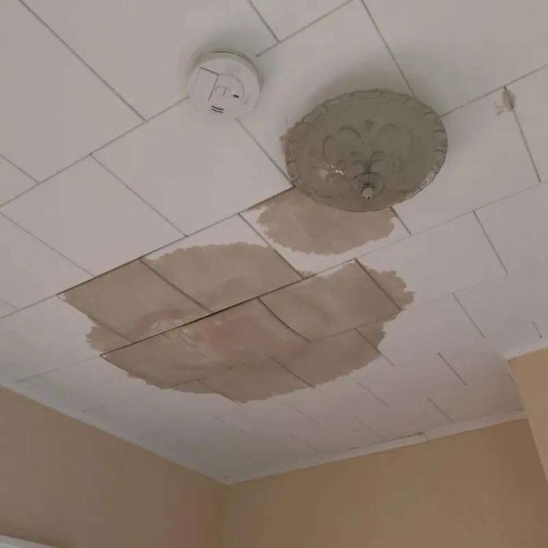 Ceiling Water Damage Repair in Frostburg, MD