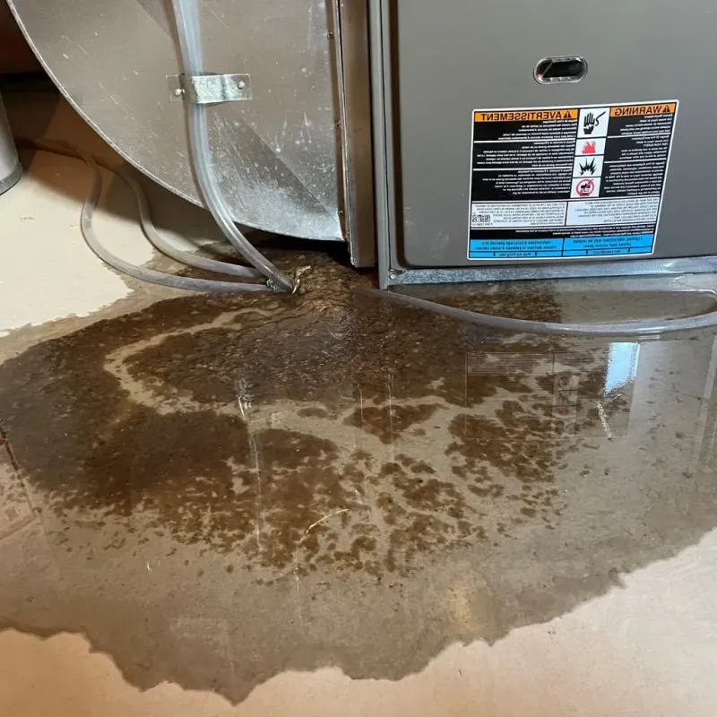 Pipe Burst and Leak Restoration in Frostburg, MD