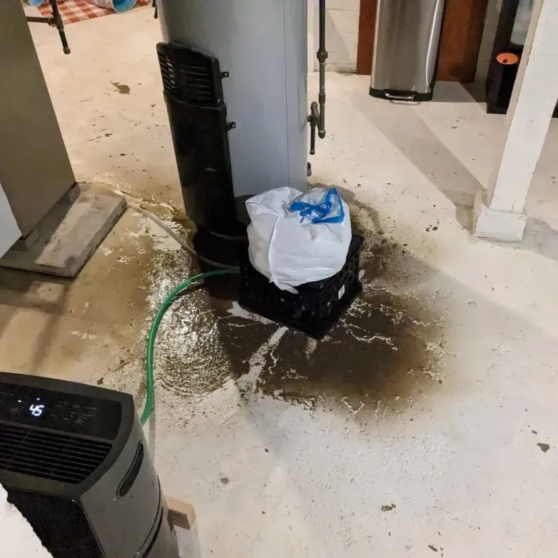 Sewage Backup Cleanup Service in Frostburg, MD
